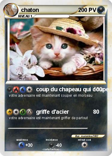 Pokemon chaton