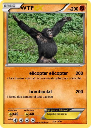 Pokemon WTF
