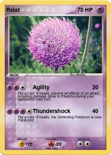 Pokemon Relat