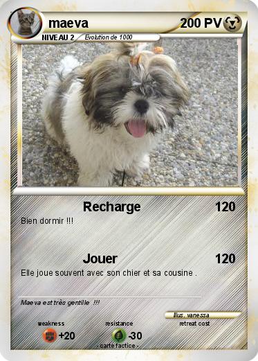 Pokemon maeva