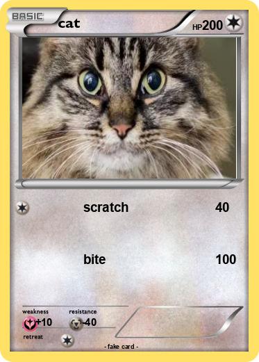 Pokemon cat