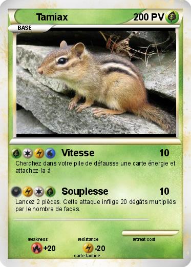 Pokemon Tamiax