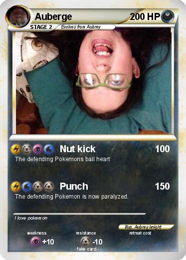 Pokemon Auberge
