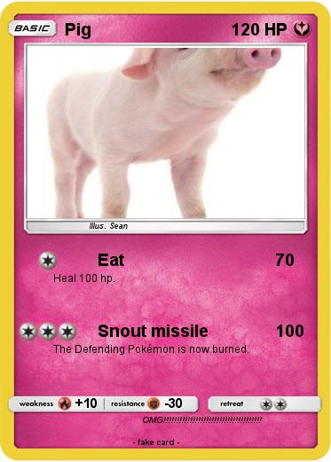 Pokemon Pig