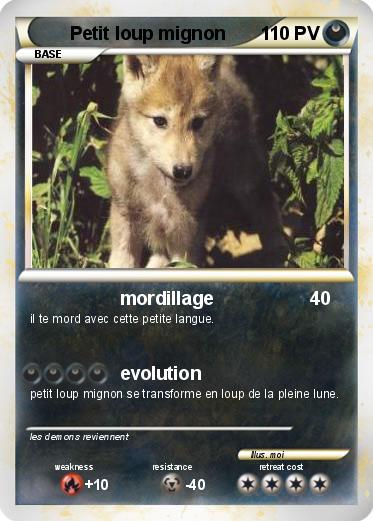 Pokemon Petit loup mignon