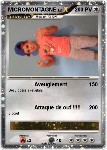 Pokemon MICROMONTAGNE