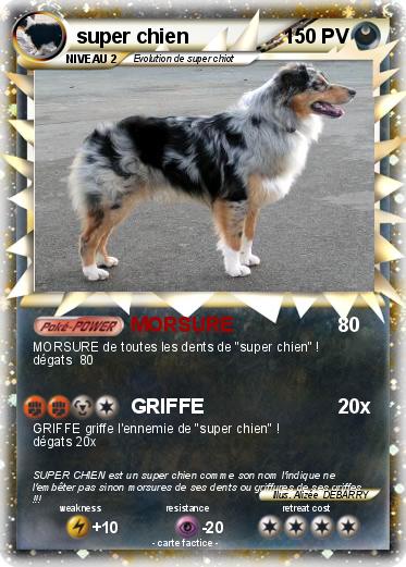 Pokemon super chien