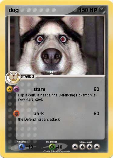 Pokemon dog