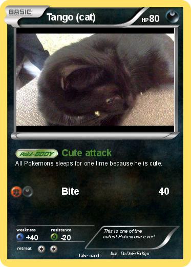 Pokemon Tango (cat)