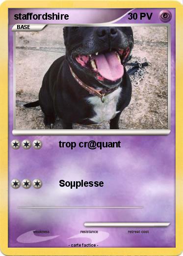 Pokemon staffordshire