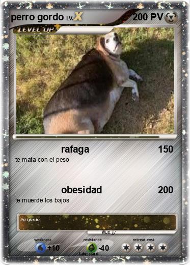 Pokemon perro gordo