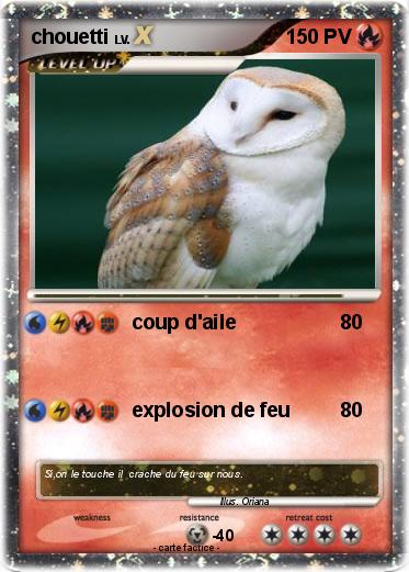 Pokemon chouetti