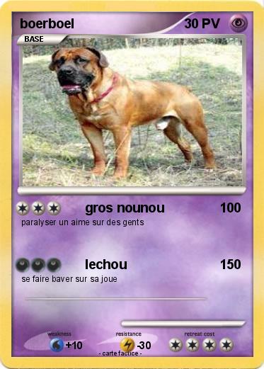 Pokemon boerboel