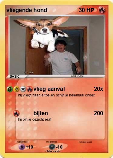 Pokemon vliegende hond