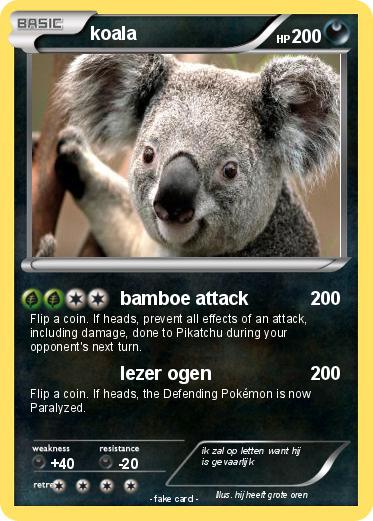 Pokemon koala