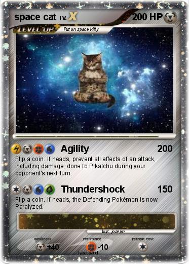 Pokemon space cat