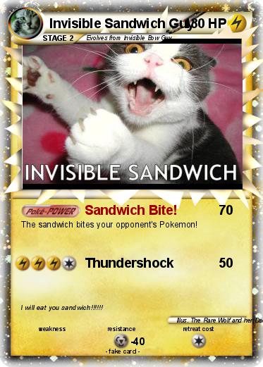 Pokemon Invisible Sandwich Guy