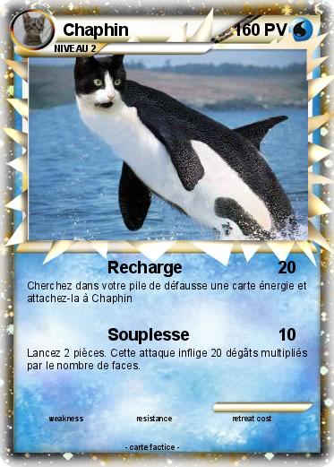 Pokemon Chaphin