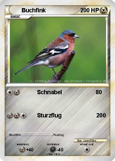 Pokemon Buchfink