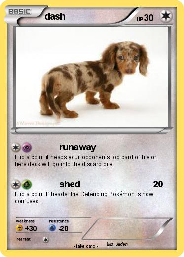 Pokemon dash