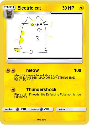 Pokemon Electric cat
