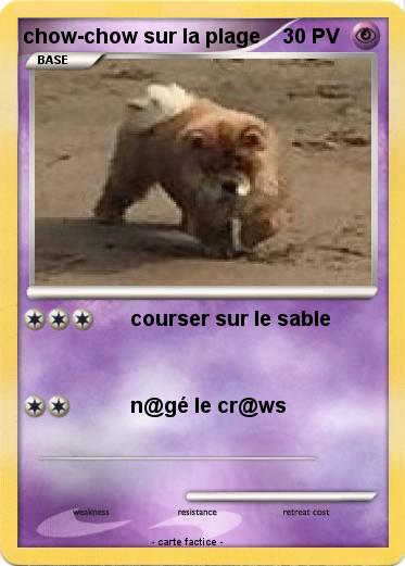 Pokemon chow-chow sur la plage