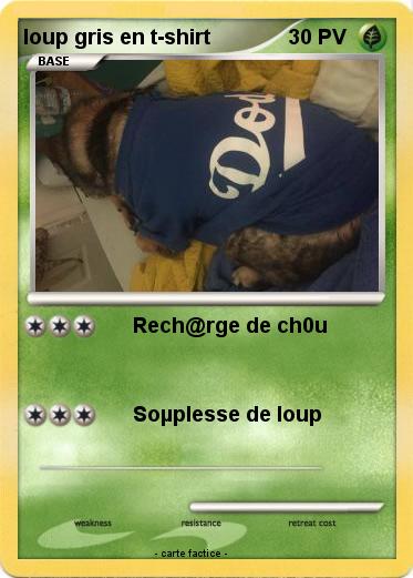 Pokemon loup gris en t-shirt