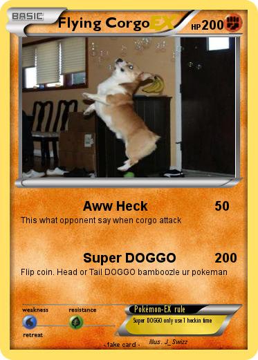 Pokemon Flying Corgo