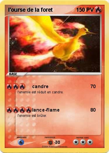 Pokemon l'ourse de la foret