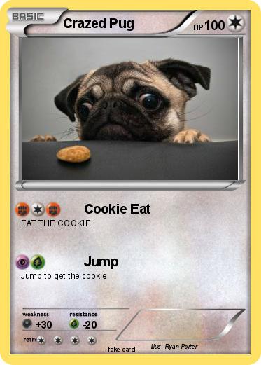 Pokemon Crazed Pug
