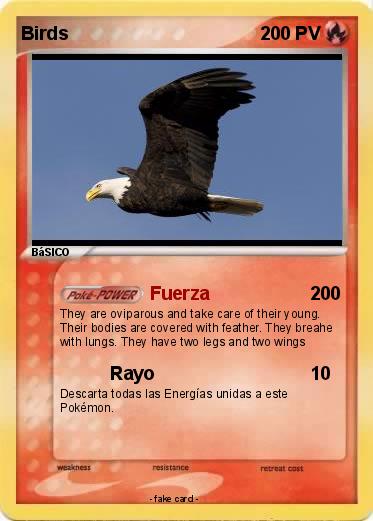 Pokemon Birds