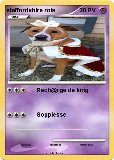 Pokemon staffordshire rois