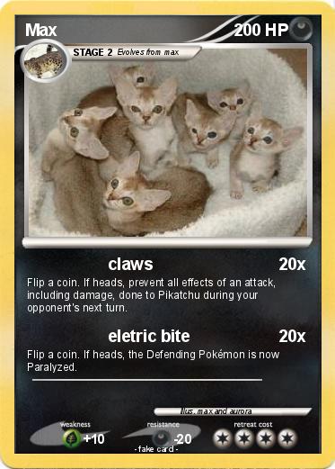 Pokemon Max