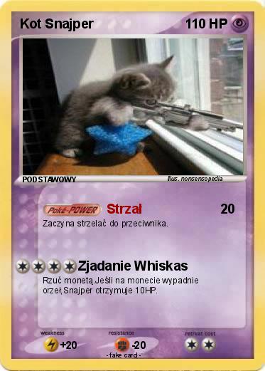 Pokemon Kot Snajper