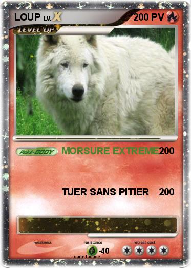 Pokemon LOUP