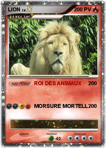 Pokemon LION
