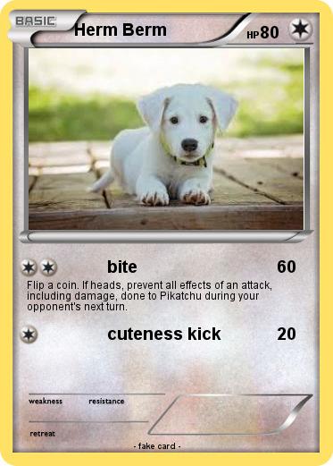 Pokemon Herm Berm