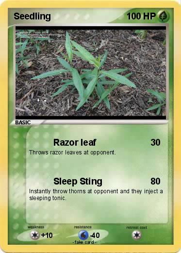 Pokemon Seedling
