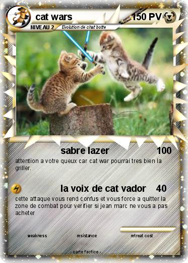Pokemon cat wars