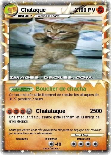 Pokemon Chataque                   2