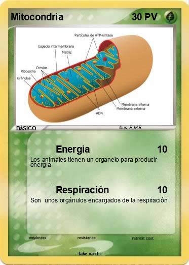 Pokemon Mitocondria