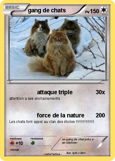 Pokemon gang de chats