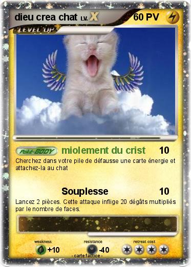 Pokemon dieu crea chat