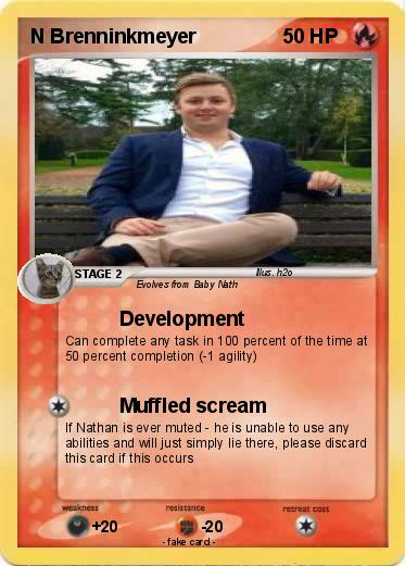 Pokemon N Brenninkmeyer