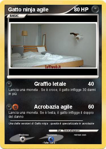 Pokemon Gatto ninja agile