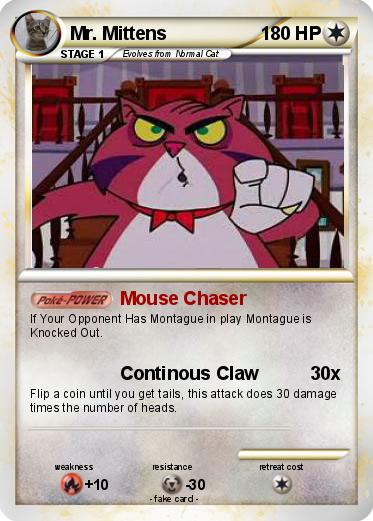 Pokemon Mr. Mittens