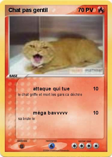 Pokemon Chat pas gentil