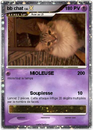 Pokemon bb chat