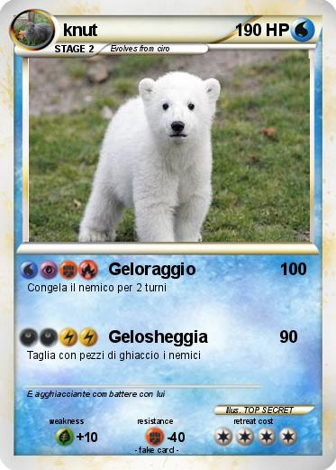 Pokemon knut