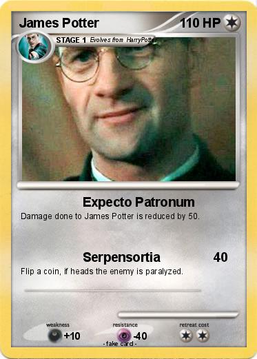 Pokemon James Potter